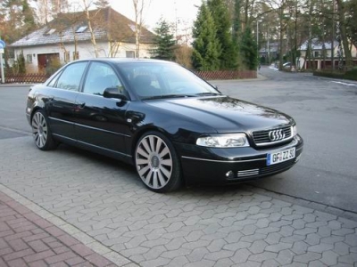 Audis_11