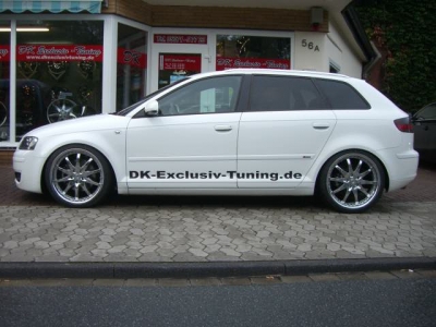 Audis_13