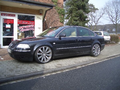 VW´s_5