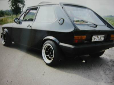 Polo1 Weber _2