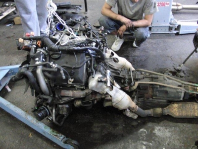 Sammis S4_6