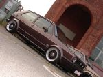 Golf 1 Nico_1